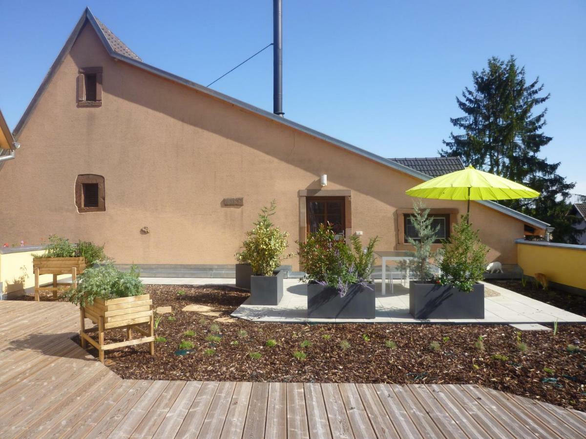 Appartamento La Tete Au Soleil Soultzmatt Esterno foto