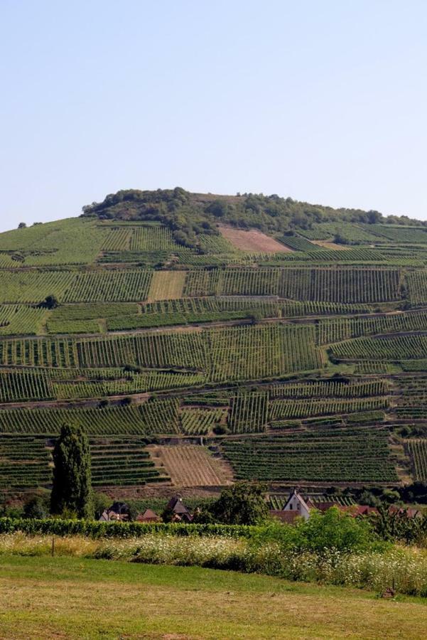 Appartamento La Tete Au Soleil Soultzmatt Esterno foto